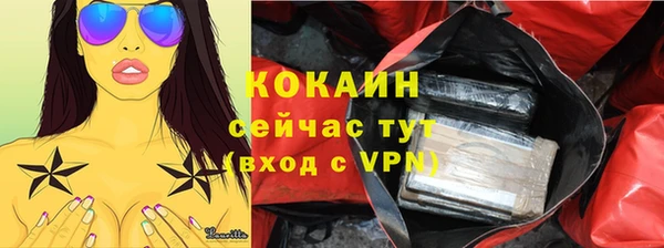 гашик Сосновый Бор