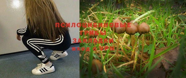 соль курить ск Сосновка