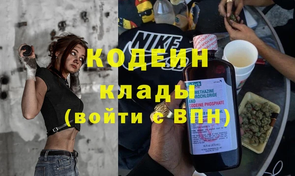 гашик Сосновый Бор