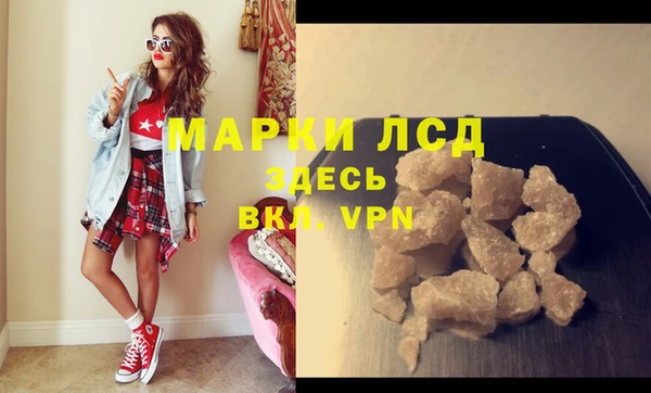 гашик Сосновый Бор