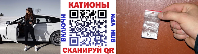 МЯУ-МЯУ мяу мяу  Купить где  Старая Русса 