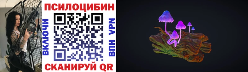 Псилоцибиновые грибы Psilocybe  Купить где  Старая Русса 