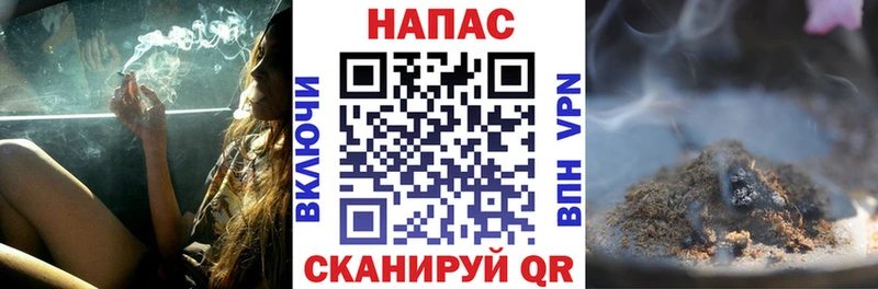 Конопля OG Kush  Купить где  Старая Русса 
